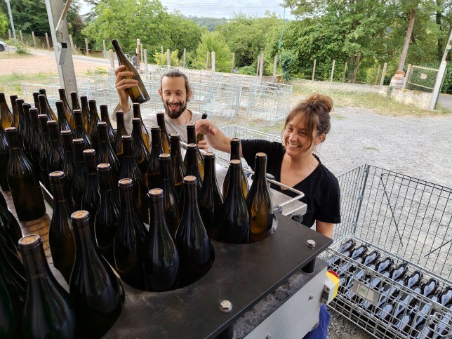 Les nouvelles cuvées&nbsp;!